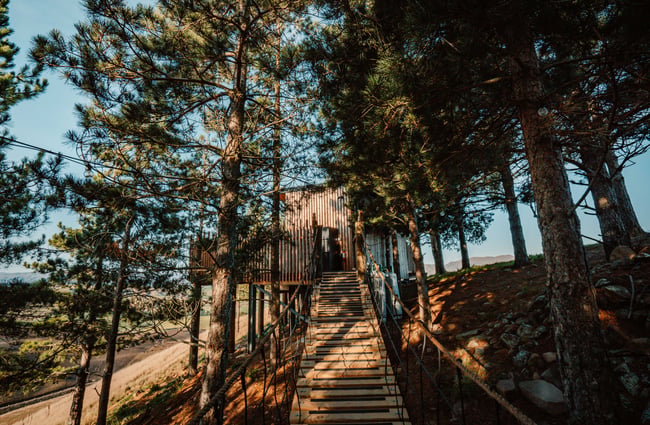 A view looking up towards the steps at Nest Tree Houses.