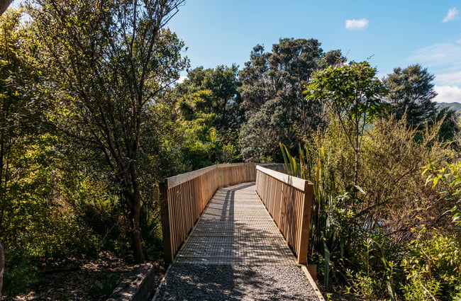 Bridge walkway leading to more nature at Ngā Manu.