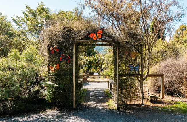Cover over a walkway with butterflies on it at Ngā Manu.
