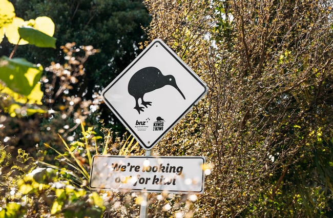 Signage stating "we're looking for Kiwi" on it at Ngā Manu.
