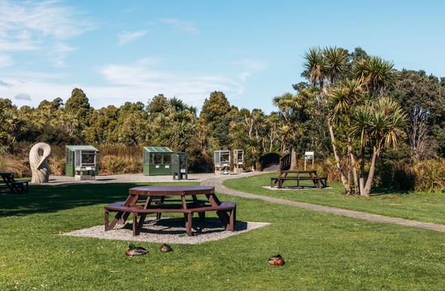 Picnic tables with greenery and bush in the background at Ngā Manu.