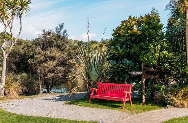 Red bench seat amongst the nature at Ngā Manu.