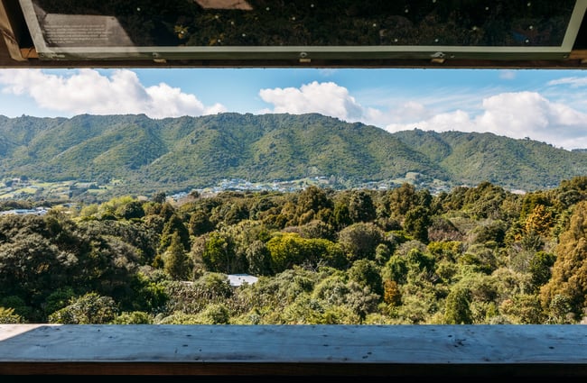 View over the reserve at Ngā Manu.