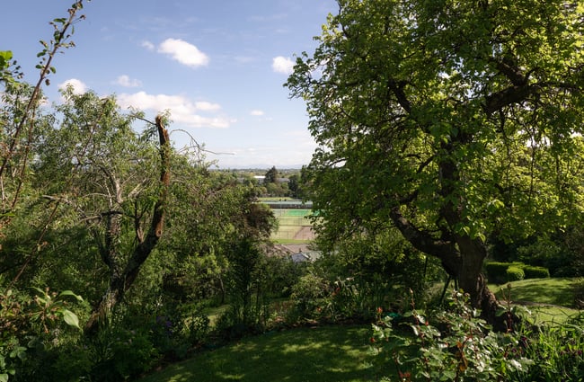 A view of a grassy patch from the top of a hill.