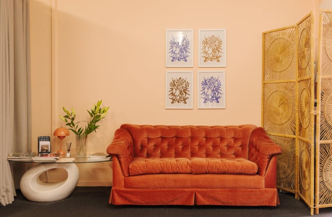 Colourful couch at Nifty.