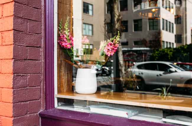 A close up of a pot plant in a window.