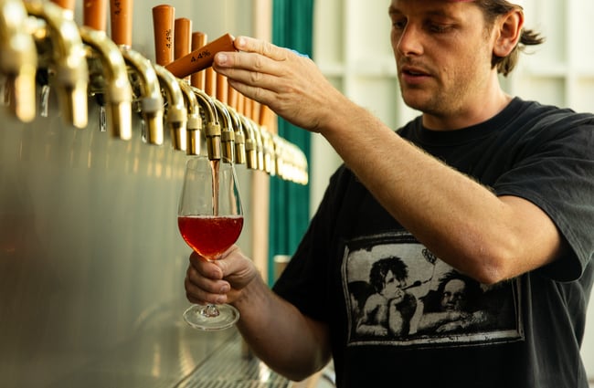 A close up of a beer being poured.