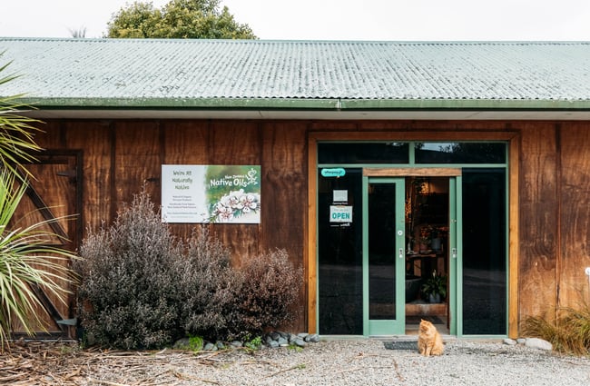 Cat sitting outside the front door of the NZ Native Oils shop.