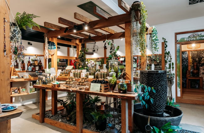 Shop interior with shelves and displays of products at NZ Native Oils.