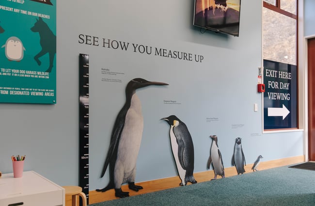Blue penguin colony museum in Ōamaru.
