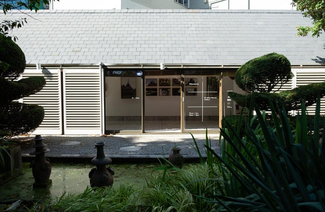 The garden at Objectspace in Christchurch.
