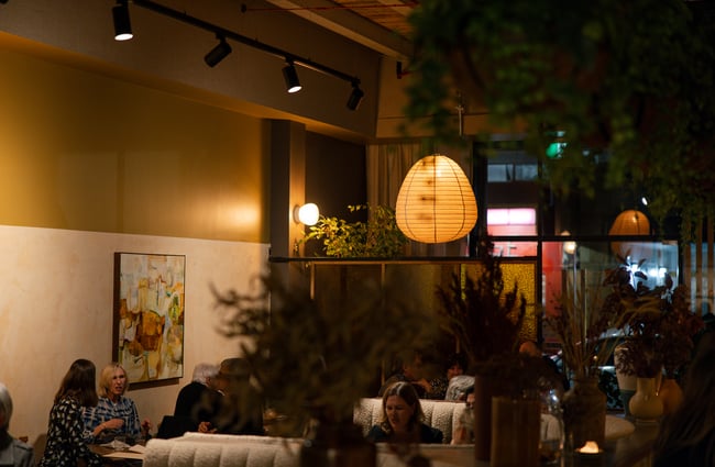Lighting feature hanging from the ceiling and plants in the restaurant at Odeon.
