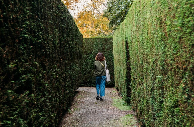 Patron entering the maze at Orchard Garden Cafe.
