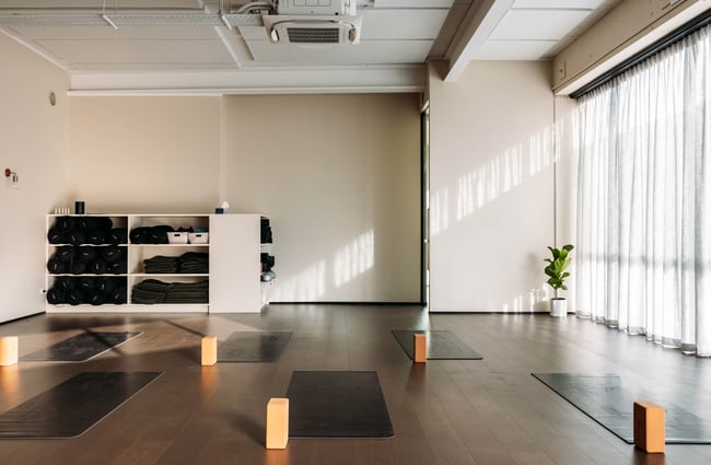 Yoga mats laid out in the studio at O-Studio.