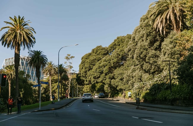 A road next to Albert Park on a sunny day.