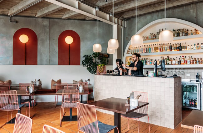 Two bartenders stand behind the bar area at Paloma.