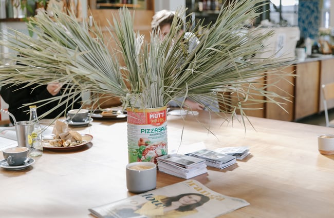 Vase with plant in the centre of communal table at Park Ranger in Christchurch.