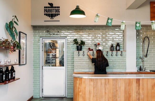 Woman filling rigger with beer and takeaway bar section of Parrotdog in Wellington