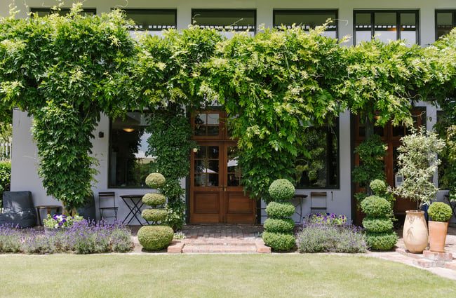 Exterior doors with manicured trees in the foreground at Pegasus Bay.