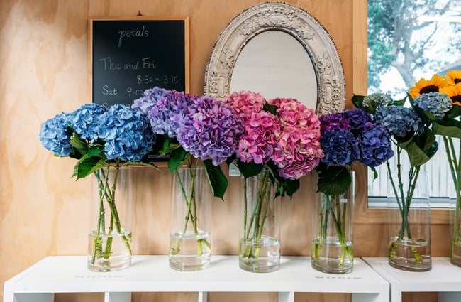 Flower lineup at Petals.