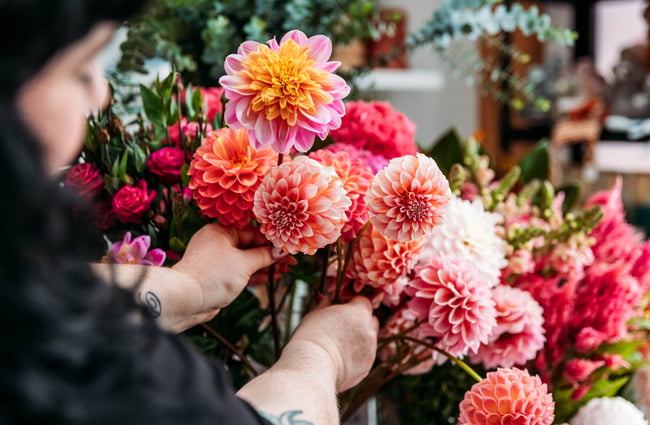 A close up of flowers.