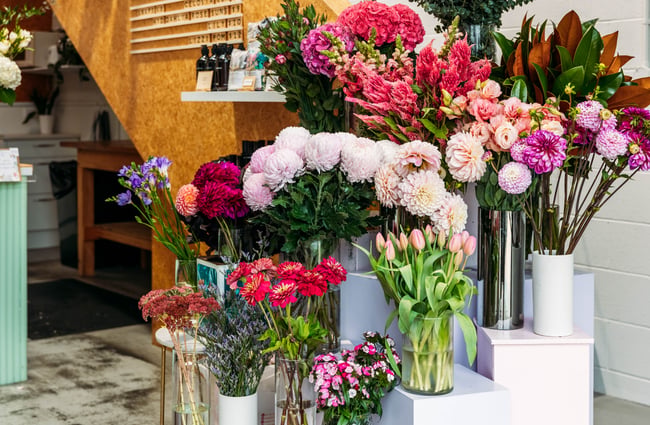 Flowers on display.