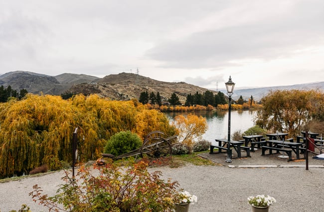 View of the lake from Pinot Junction.