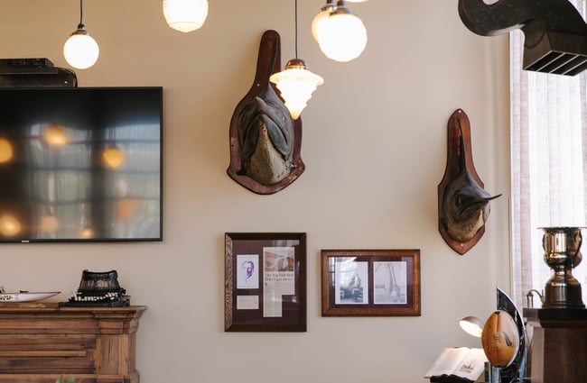 Marlin mounted on the wall at Poshtel lobby in Ōamaru.