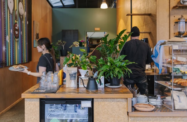 Plenty of plants decorating the counter at Prima Roastery.