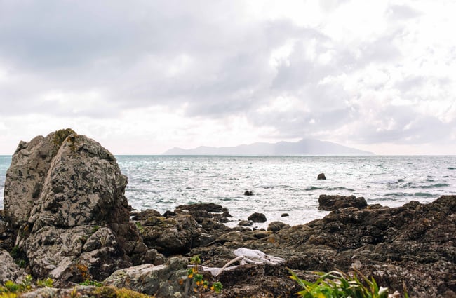 Beachside view and ocean.