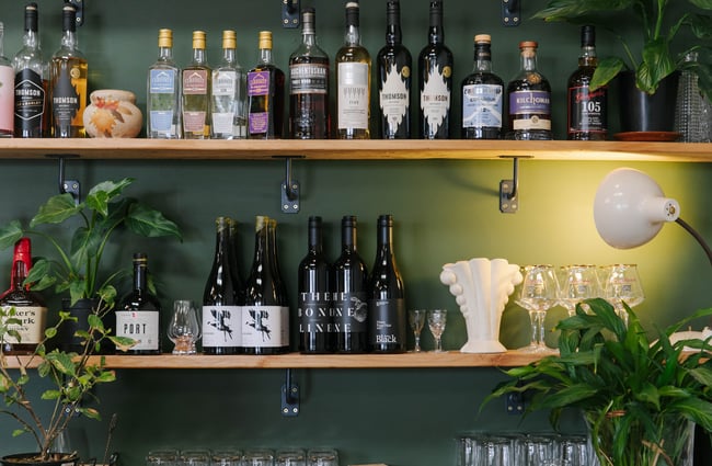 Bottles of gin on a shelves.
