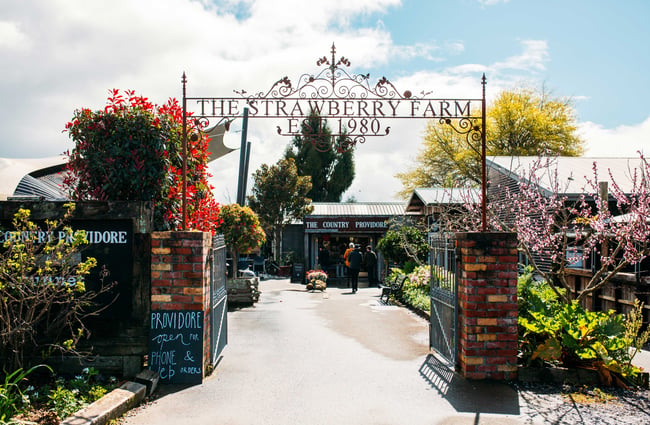 The entrance to Punnet Eatery.