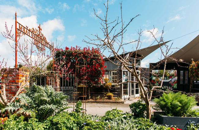 The outside of Punnet Eatery surrounded by big green bushes.