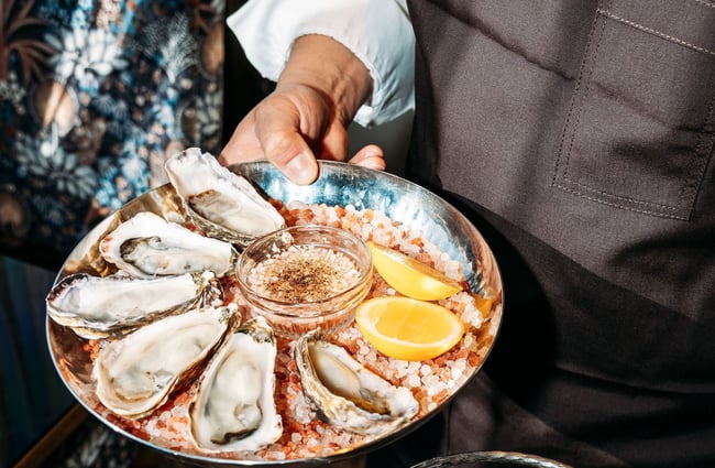 A hand holding a plate of oysters.