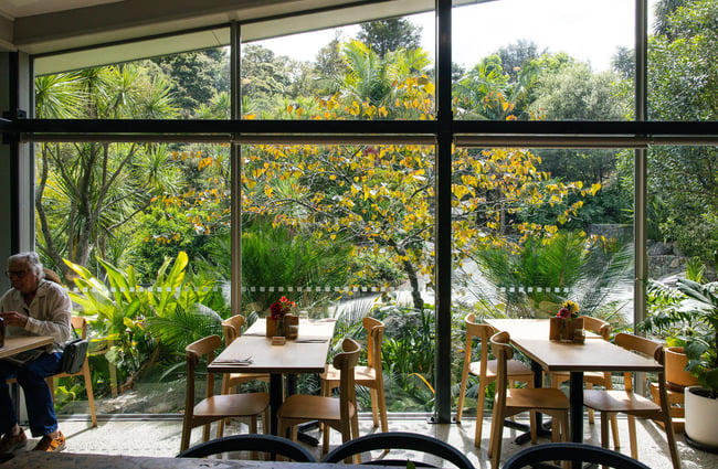 Tables by the window with beautiful garden views at Quail Cafe.