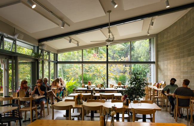 Expansive view of the dining room at Quail Cafe.