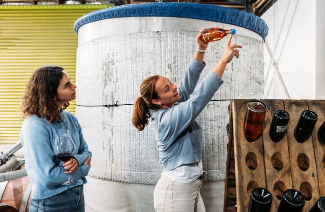 Winemaker showing a customer part of the process at Quartz Reef.