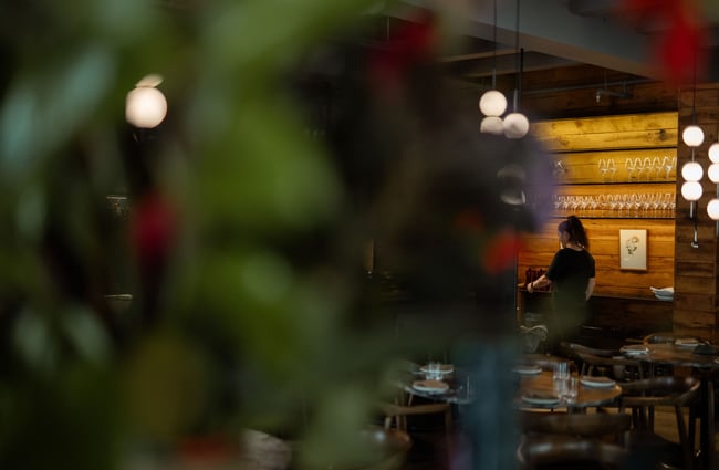 Moody image of blurred foliage in front of dining area at Rata restaurant in Queenstown