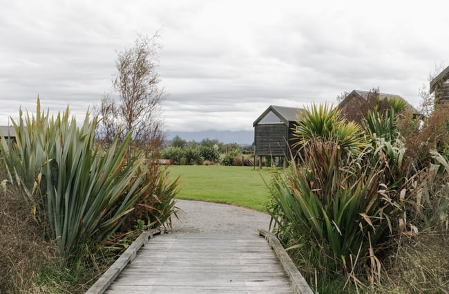Standing on a wooden walk way surrounded by New Zealand native bush.