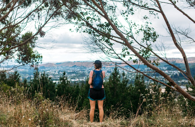 The view from the top of Rangituhi.