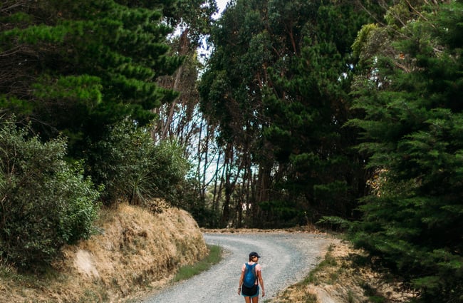 Woman walking up a gravel road with trees either side.