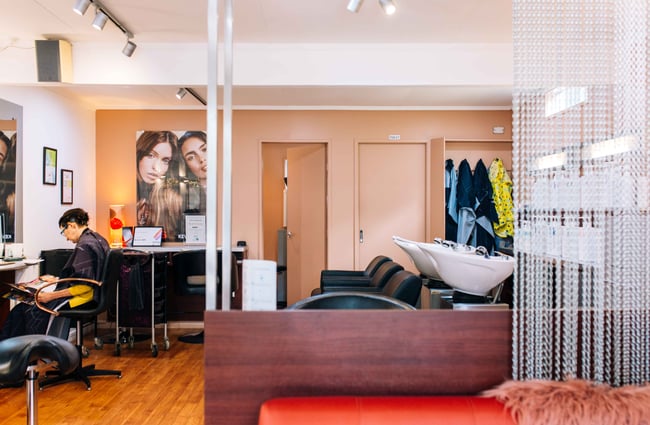 View through chain link curtain of wider salon.
