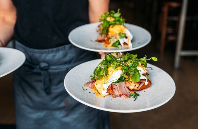 Person holding two plates of eggs benedict at Revive Espresso in Petone