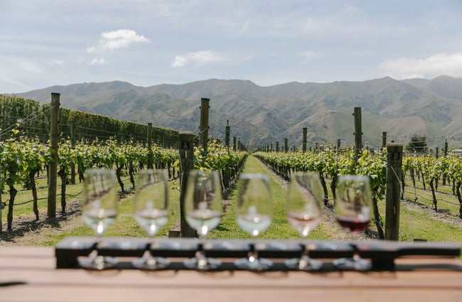 A row of wines for a wine tasting at the River-T Estate in Kurow.