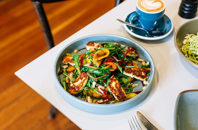 Close up of halloumi salad on a table at Scotts Epicurean.