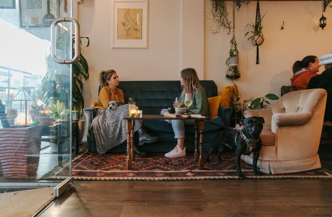 Woman sat with dogs on a couch having wine at Six Ounces, Christchurch.