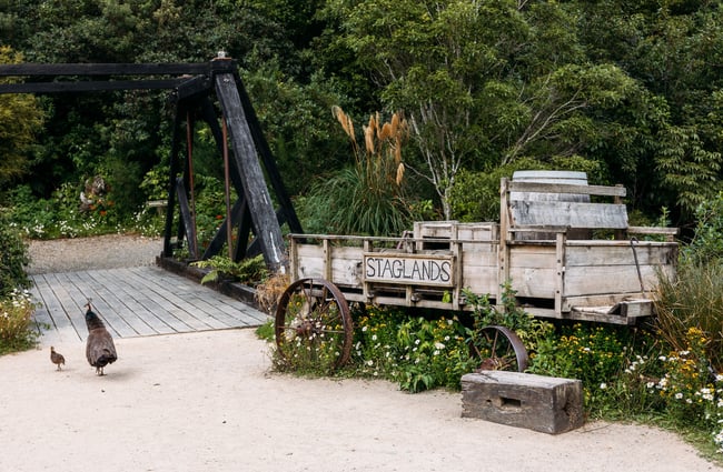 Wildlife reserve with birds running around and a sign saying "Staglands"