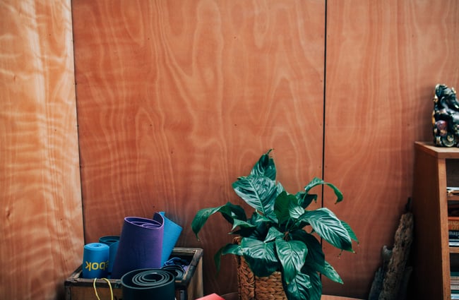 Plants and yoga mats in a corner.