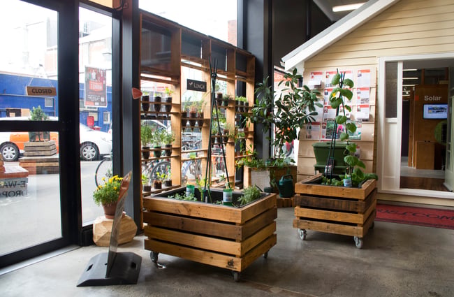 Plants in the shop/=.