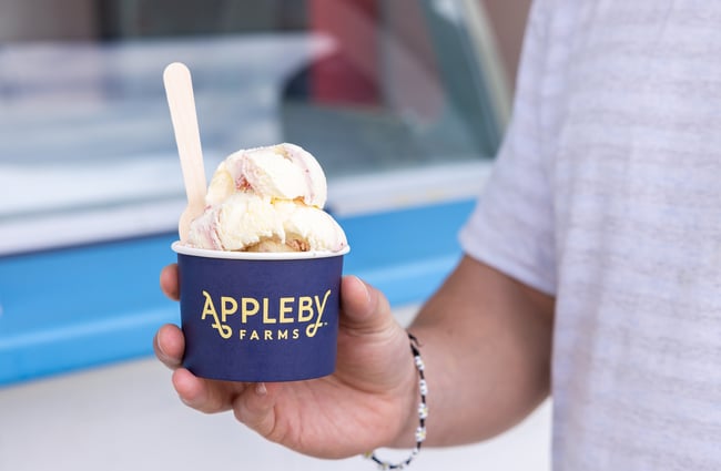 A customer holds a scoop of ice-cream in a cup.